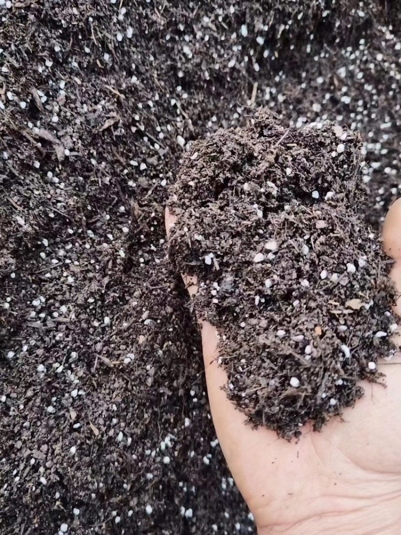 Premiun Potting Mix 30L